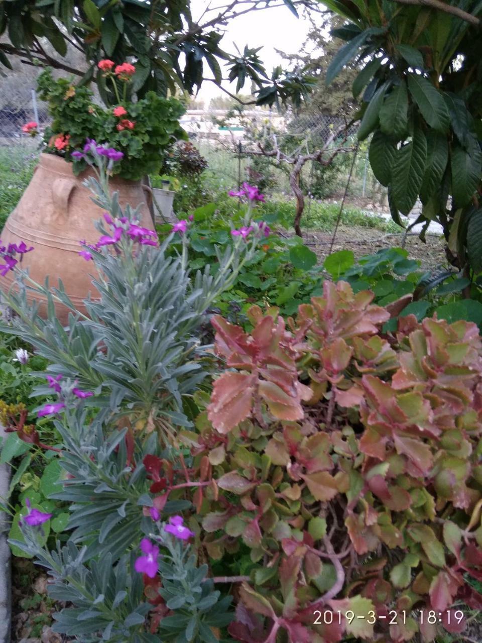 Ξενώνας Τζούντι Πιτσίδια Εξωτερικό φωτογραφία